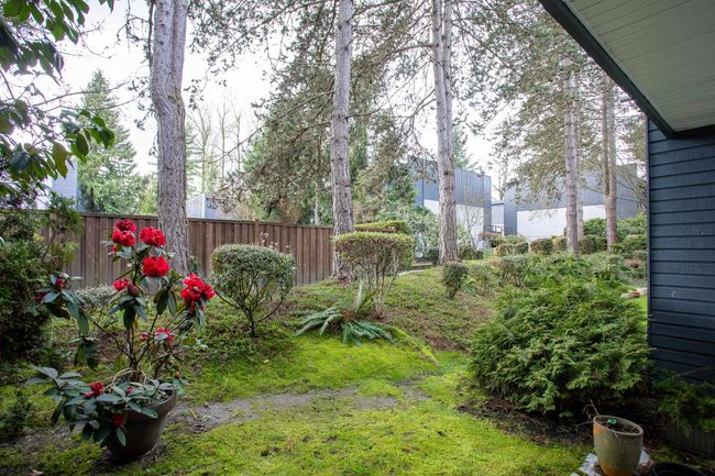 7354 Capistrano Drive, Townhouse with 3 bedrooms, 1 bathrooms and 2 parking in Burnaby BC | Image 30