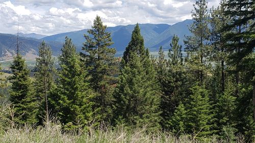 Lot 20 Arlee Pines Dr, Arlee, MT, 59821 | Card Image