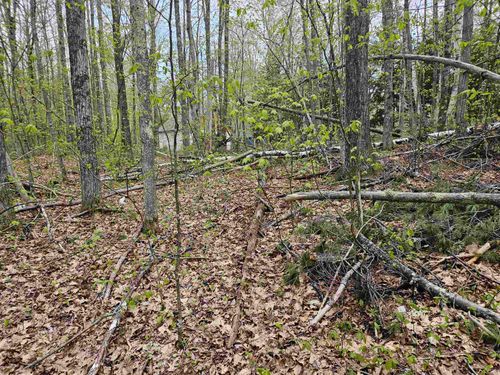 Lot 124 Paulsen Circle, Haverhill, NH, 03765 | Card Image