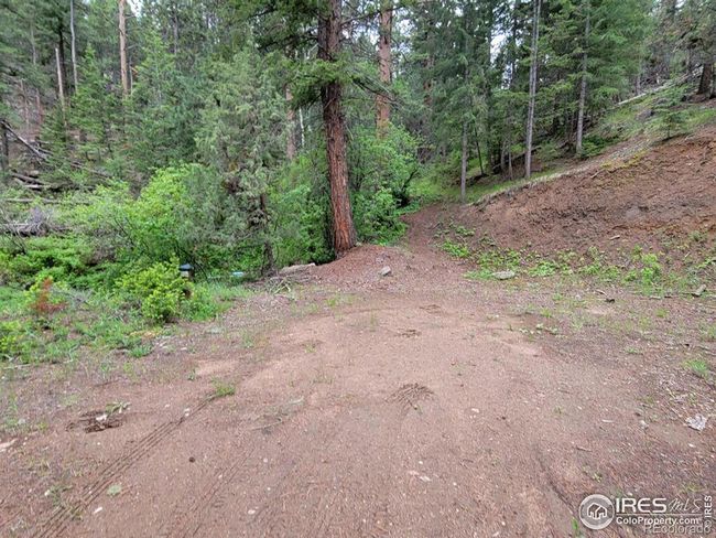 1 Mountain Lion Track Court, Home with 0 bedrooms, 0 bathrooms and null parking in Livermore CO | Image 9