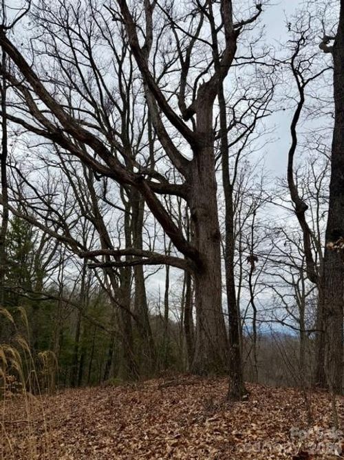 201 Glen Valley Drive, Weaverville, NC, 28787 | Card Image