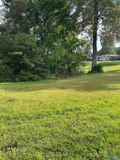 16-17-1 Jarmon Road, Guntersville, AL, 35976 | Card Image