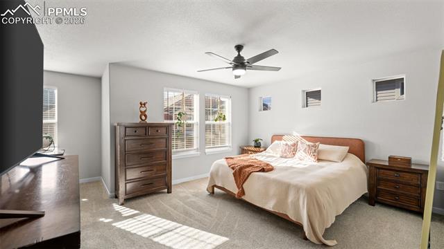 Residential in Colorado Springs 4