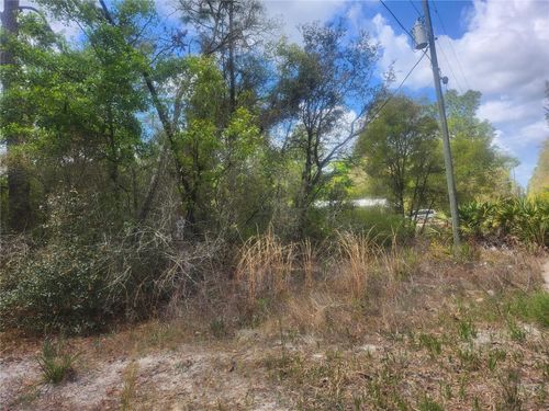 TBD Ne 236th Ln, Fort Mc Coy, FL, 32134 | Card Image