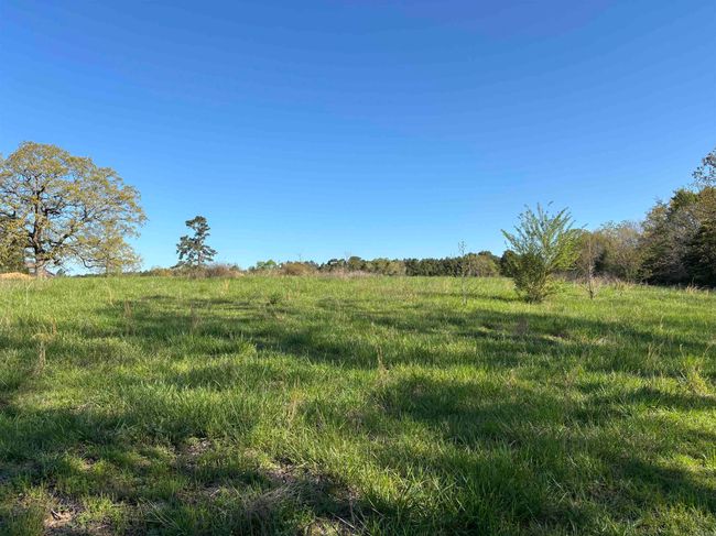 4732 Hwy 157 N Highway, Home with 3 bedrooms, 4 bathrooms and null parking in Judsonia AR | Image 36
