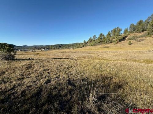 980 Catchpole Dr, Pagosa Springs, CO, 81147-7919 | Card Image