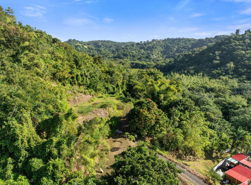 Land en venta en ANASCO, SOLAR 2. BARRIO DAGUEY, URB. SAGRADO CORAZON