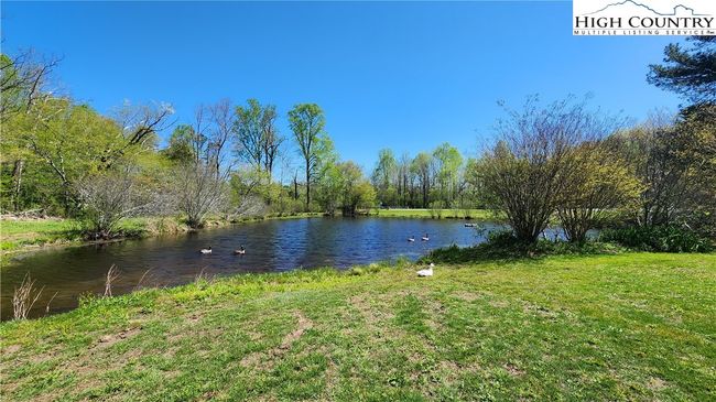 duck pond | Image 17