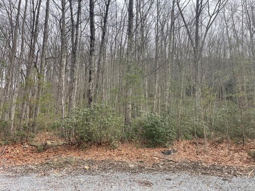 0 Highway 217, Middlesboro, KY, 40965 | Card Image