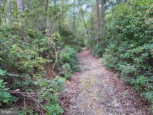 35 Old Parsons Road, KING GEORGE, VA, 22485 | Card Image