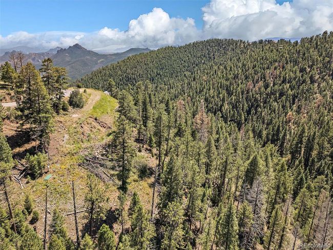 13809 Elsie Rd, Home with 0 bedrooms, 0 bathrooms and null parking in Conifer CO | Image 11