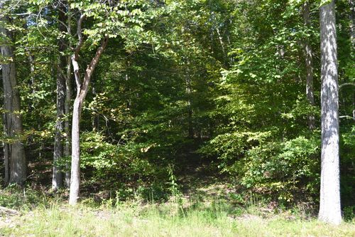 3 Rolling Mill Rd, Eddyville, KY, 42038 | Card Image