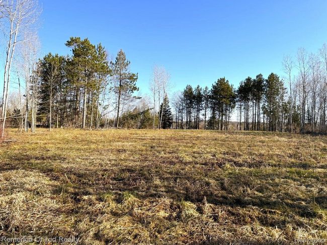 4052 S River Rd, Home with 0 bedrooms, 0 bathrooms and null parking in Cheboygan MI | Image 8