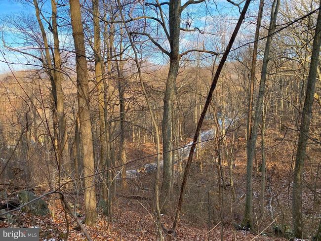00 Hickory Tree Rd, Home with 0 bedrooms, 0 bathrooms and null parking in FRONT ROYAL VA | Image 19