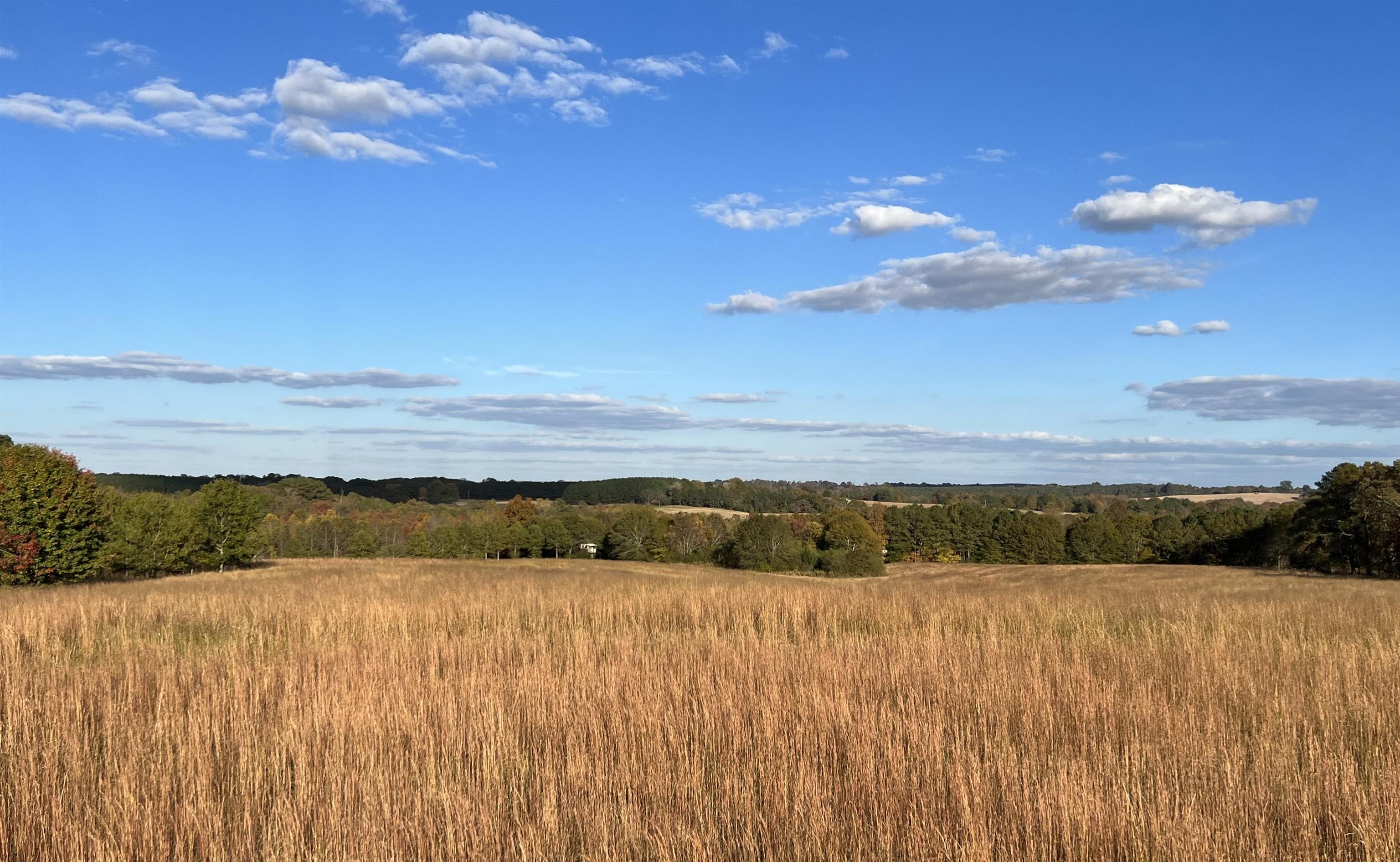 2628 Co Rd 1742, For Sale in Holly Pond Zoocasa