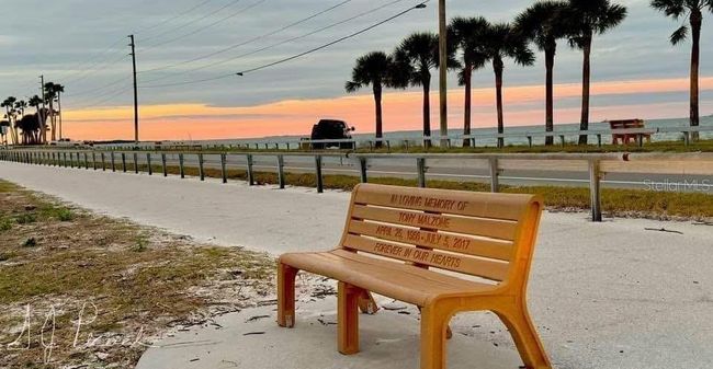 625 Duchess Blvd, Townhouse with 2 bedrooms, 2 bathrooms and null parking in DUNEDIN FL | Image 58