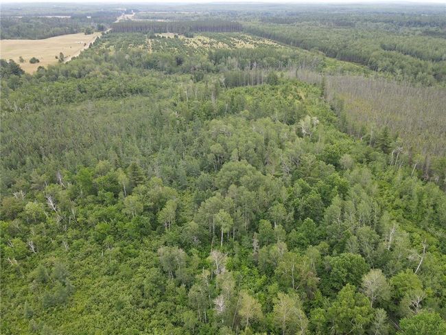 W39XX Frog Creek Rd, Home with 0 bedrooms, 0 bathrooms and null parking in MINONG WI | Image 6
