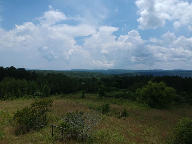 5199 Burkett Chapel Rd, Home with 4 bedrooms, 2 bathrooms and null parking in Whitwell TN | Image 9
