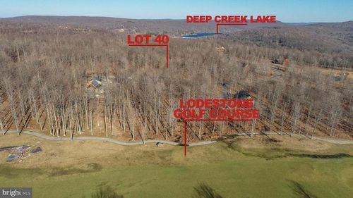 40 Fern Loop Dr, MC HENRY, MD, 21541-1774 | Card Image