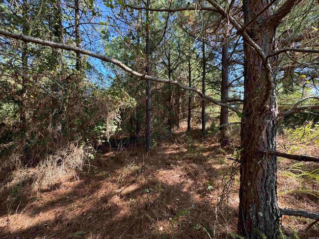 00 Calico Rd, Home with 0 bedrooms, 0 bathrooms and null parking in Clinton AR | Image 24