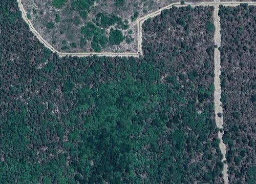 8-8 Sw 15th Pl, Ocala, FL, 34471-6531 | Card Image