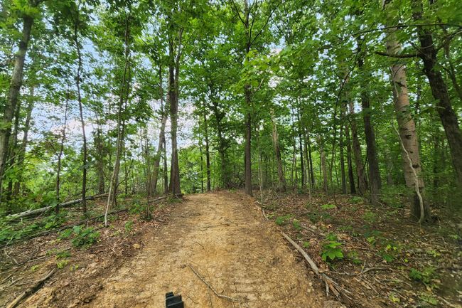 TRACT-3 - 0 Back Run Rd, Home with 0 bedrooms, 0 bathrooms and null parking in Philo OH | Image 20
