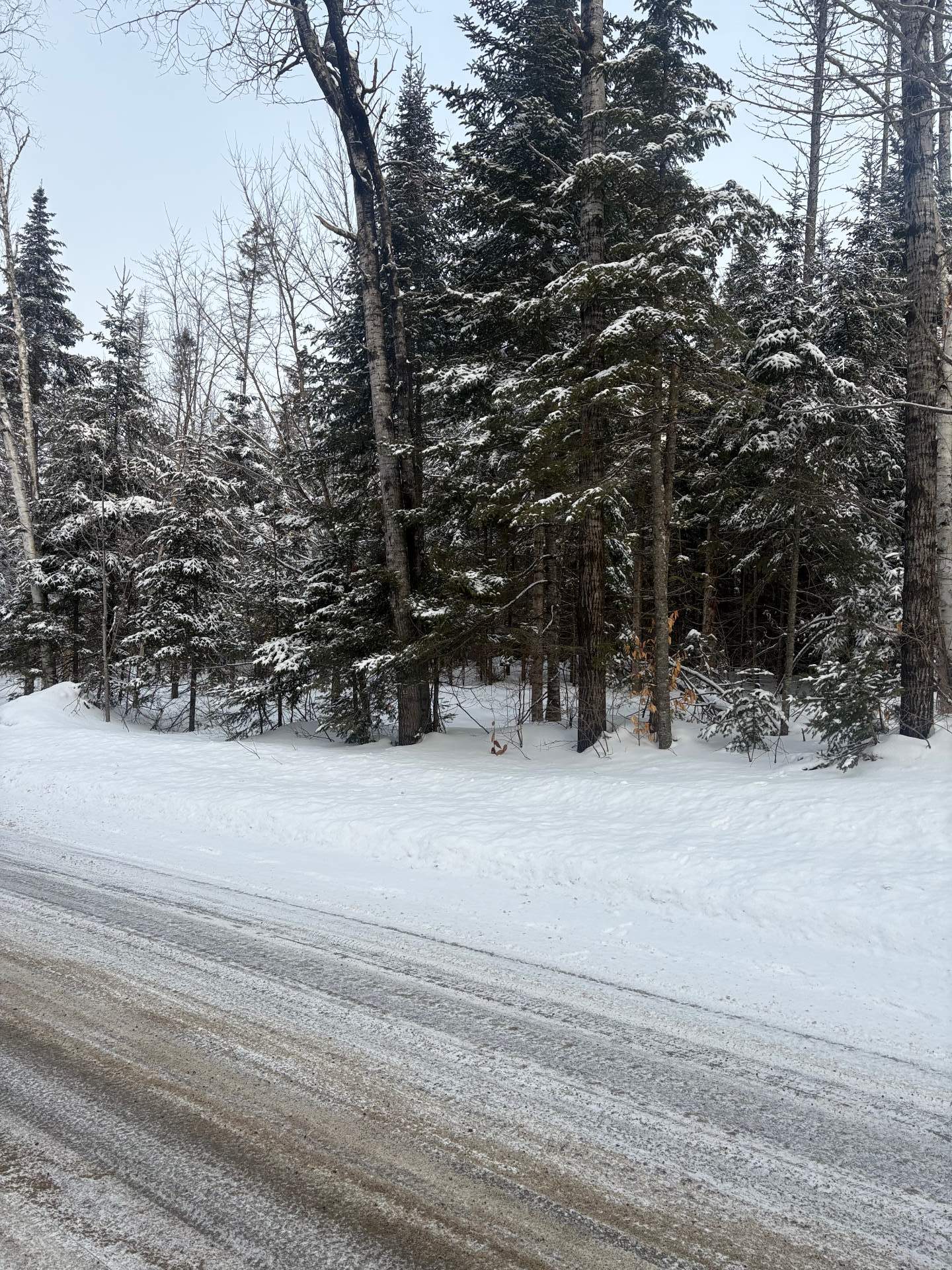 Residential in Lac-Supérieur