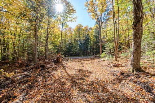 1000 Rosien Rd, Eganville, ON, K0J1T0 | Card Image