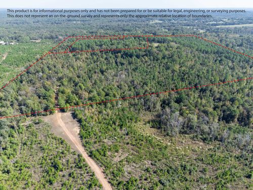 TBD 50 acres Coppedge Smith Rd, Harleton, TX, 75651 | Card Image