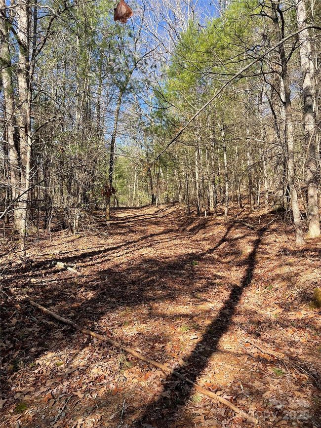 0000 Pine Log Rd, Home with 0 bedrooms, 0 bathrooms and null parking in Warne NC | Image 6