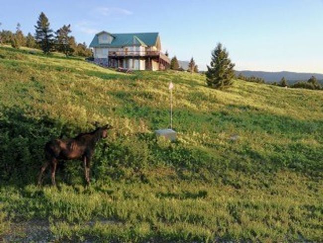 200 Peak Rd, House other with 3 bedrooms, 3 bathrooms and null parking in Bozeman MT | Image 40