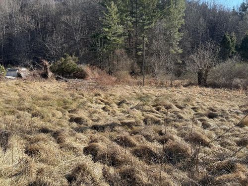 1532 Indian Creek Rd, Cedar Bluff, VA, 24609 | Card Image