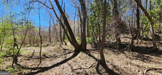 5757 Jeffersonville Rd, Home with 0 bedrooms, 0 bathrooms and null parking in Dry Branch GA | Image 17