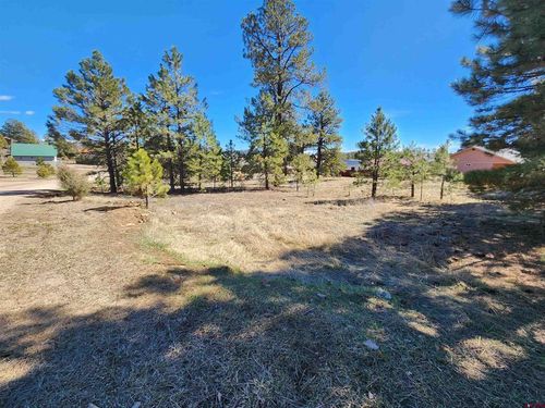 1059 Hills Cir, Pagosa Springs, CO, 81147-8848 | Card Image