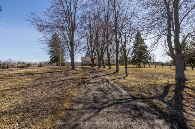 2552 Base Line, Home with 4 bedrooms, 1 bathrooms and 10 parking in Keene ON | Image 33