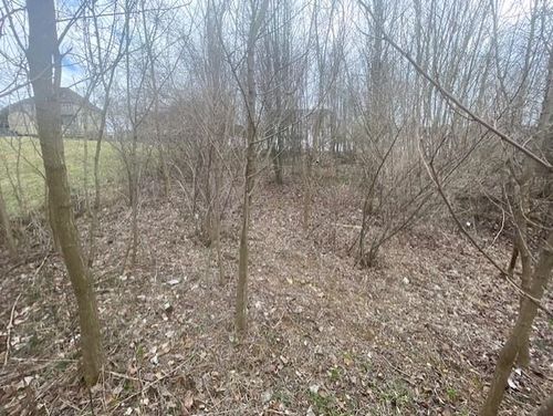 0 Long Meadow Rd, FISHERSVILLE, VA, 22939 | Card Image