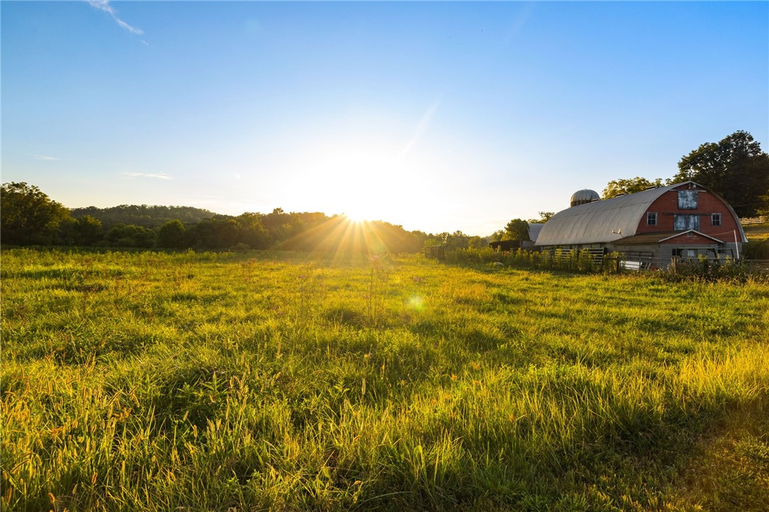 Farm in Washingtn/Ruff Creek 3