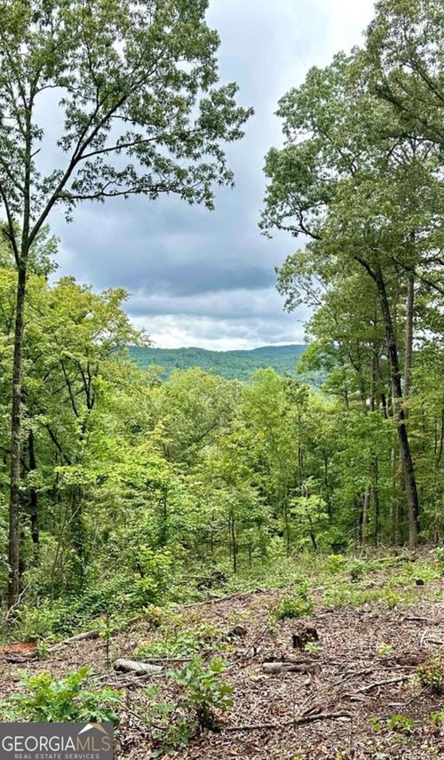 314-LOT 314 Talking Rock Creek Ln, Talking Rock, GA, 30175 | Card Image