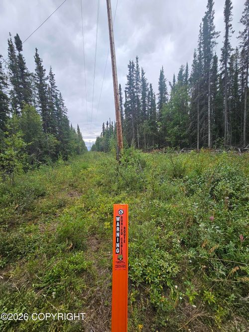 L2 B2 Trapline Drive, Copper Center, AK, 99573 | Card Image