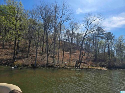 18-Lot 18 Eagle Point Trce, ROCKFORD, AL, 35136-1152 | Card Image