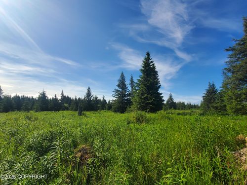 17584 Chefornak St, Ninilchik, AK, 99639 | Card Image