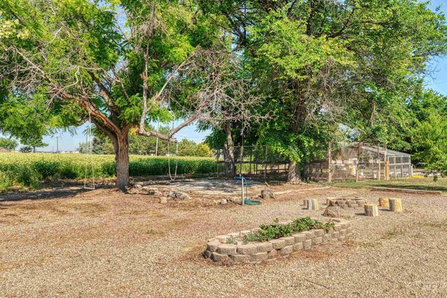 View of yard | Image 46