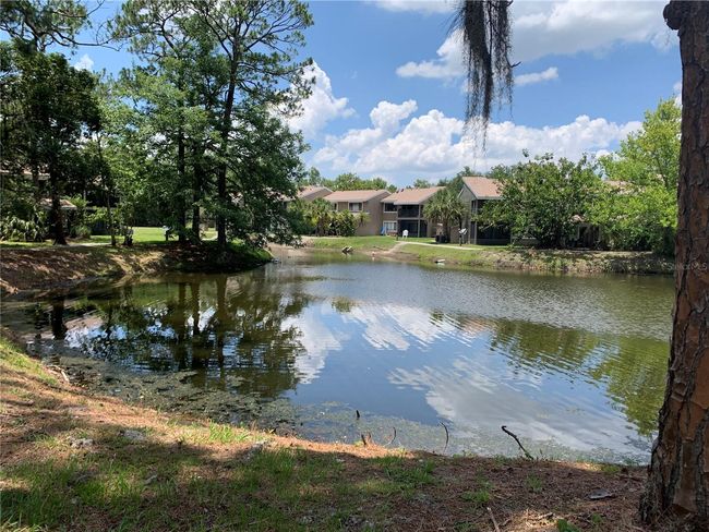 C04 - 6073 Windhover Dr, Condo with 2 bedrooms, 2 bathrooms and null parking in ORLANDO FL | Image 22