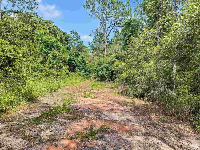 6640 Frank Reeder Rd, House other with 3 bedrooms, 2 bathrooms and 1 parking in Pensacola FL | Image 36