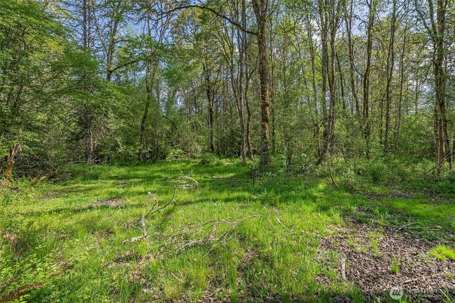 637 Smokey Valley Rd, Home with 0 bedrooms, 0 bathrooms and null parking in Toledo WA | Image 30