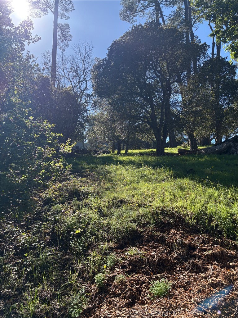 Land in Cambria 4