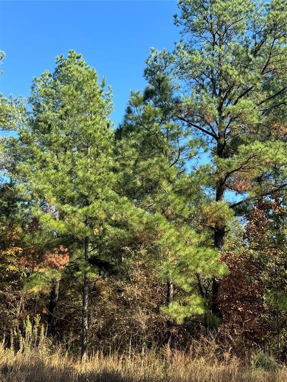 Land in Broken Bow