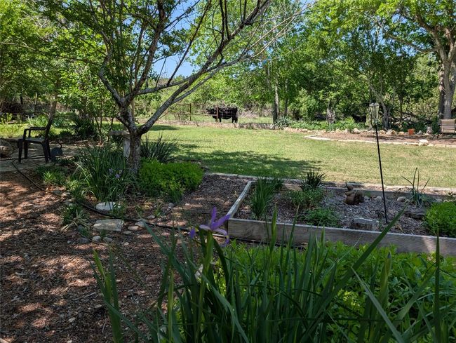 View of yard | Image 32