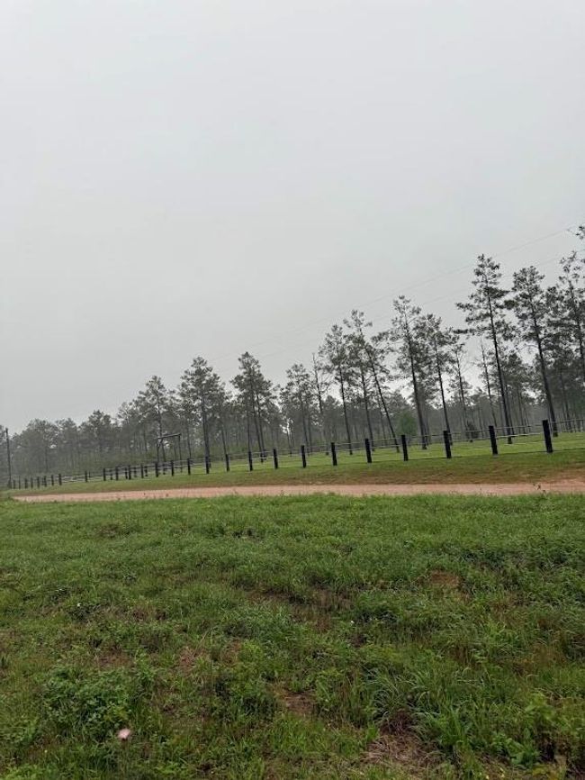 0 Richardson Rd E, Home with 0 bedrooms, 0 bathrooms and null parking in Livingston TX | Image 20