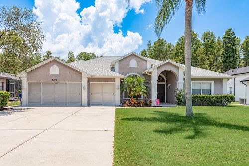 8214 Silver Mist Pl, TRINITY, FL, 34655-4579 | Card Image